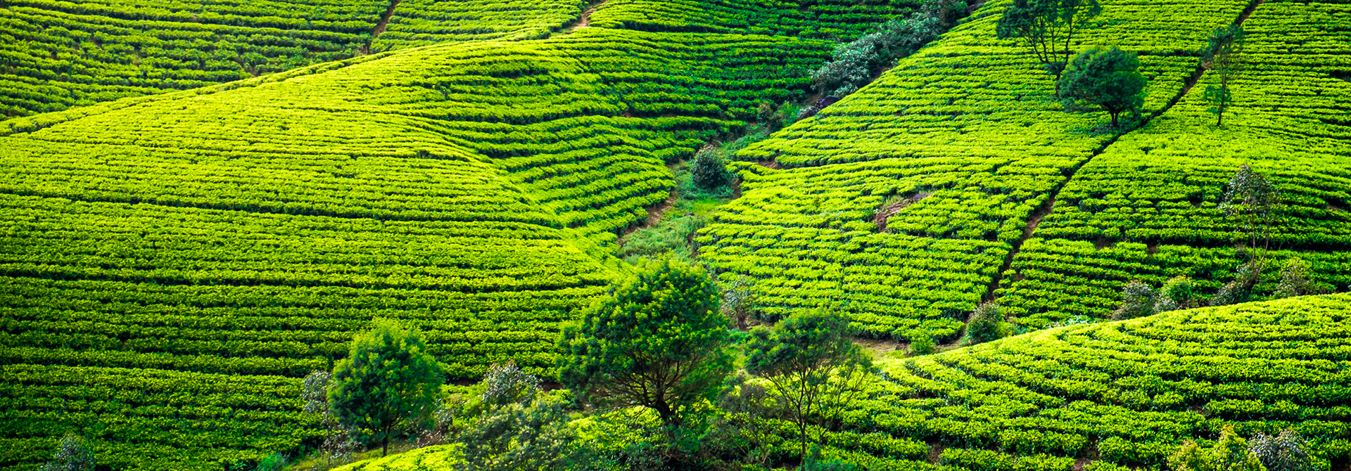 sri-lanka